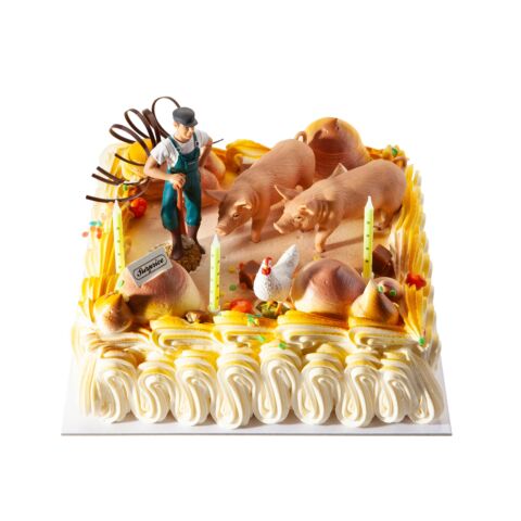 Themataart met decoratiekit Boer met varkens