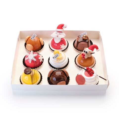 Surprice Party Cake Box