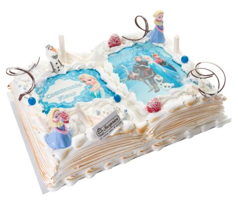 Vriendenboek thema Frozen